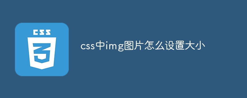 css中img图片怎么设置大小