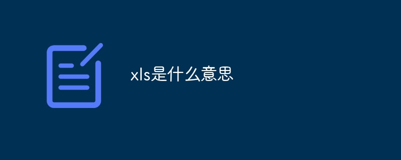 xls是什么意思