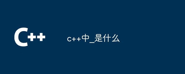 c++中_是什么