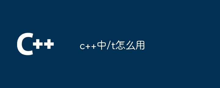 c++中/t怎么用