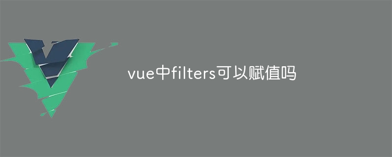 vue中filters可以赋值吗