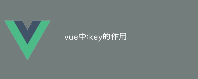 vue中:key的作用