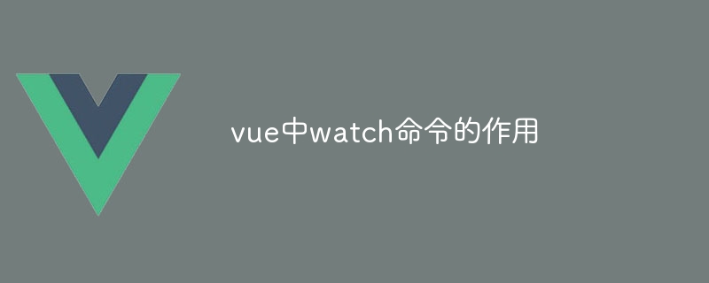 vue中watch命令的作用