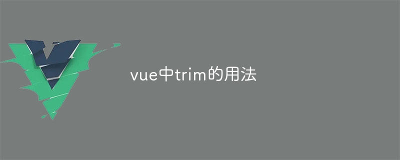 vue中trim的用法