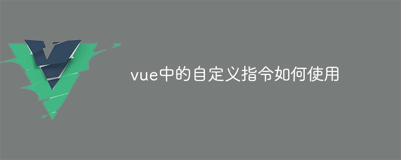 vue中的自定义指令如何使用