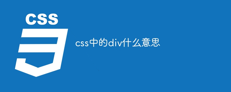 css中的p什么意思