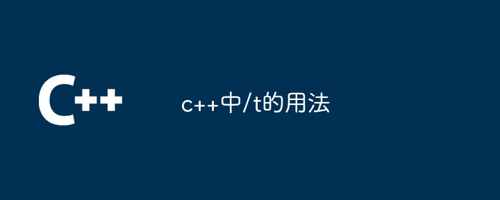 c++中/t的用法