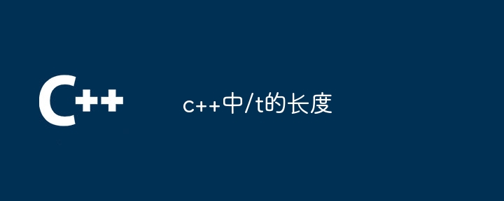 c++中/t的长度