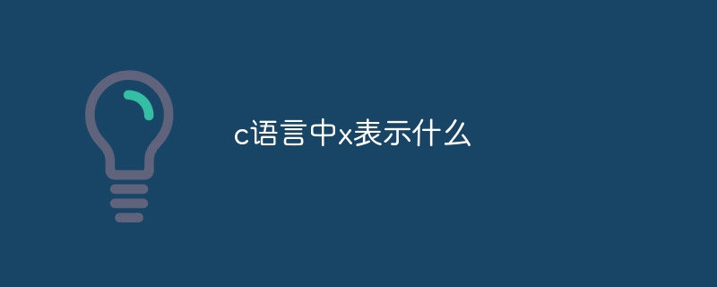 c语言中x表示什么