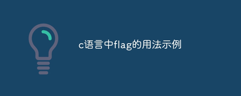 c语言中flag的用法示例