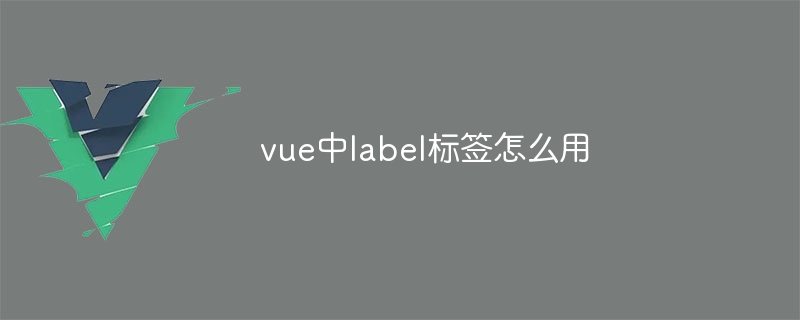 vue中label标签怎么用