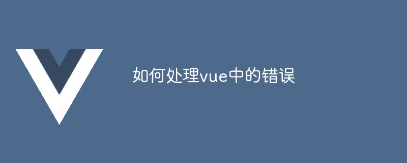 如何处理vue中的错误