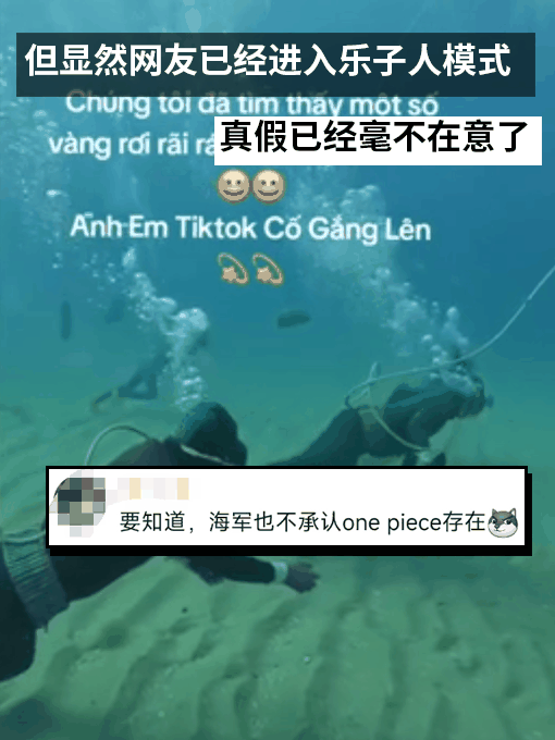 越南女首富被判刑：网友为找到她的宝藏集体化身海贼王