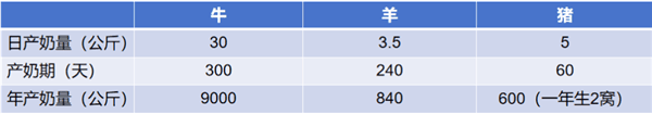 每公斤接近1.7万！猪奶奶酪卖出天价 但我们为啥不喝猪奶