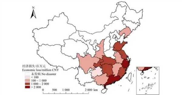 为什么死松树不能当柴火烧 中国9亿亩松树正遭受前所未有的危机