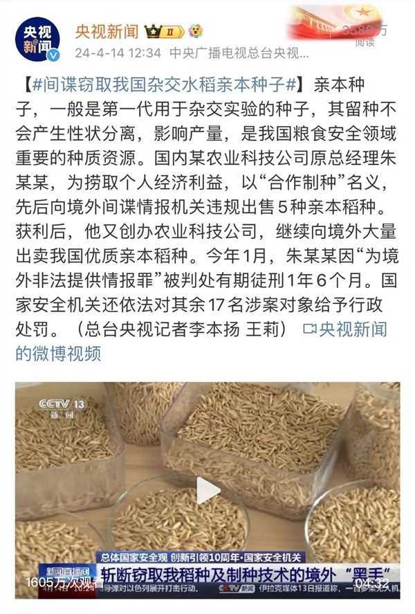 偷卖种子就是对境外提供情报！这事儿没你想的那么简单