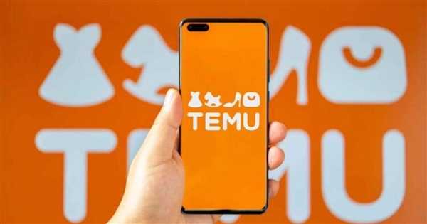 TEMU 我的人生第一桶金