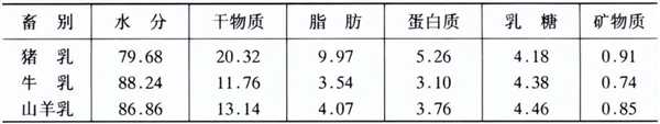 每公斤接近1.7万！猪奶奶酪卖出天价 但我们为啥不喝猪奶