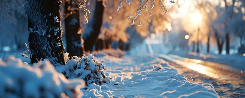 冰雪大气间的能量交换和水分交换特性 冰雪属于什么生物圈吗