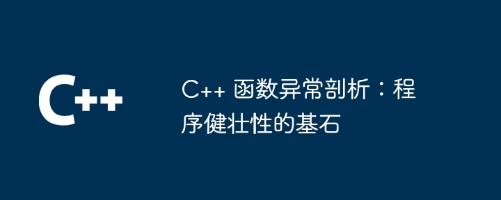 C++ 函数异常剖析：程序健壮性的基石