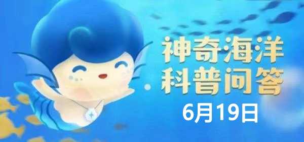 神奇海洋6.19答案：中国最大的渔场是?