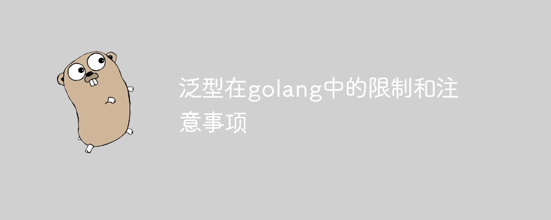 泛型在golang中的限制和注意事项