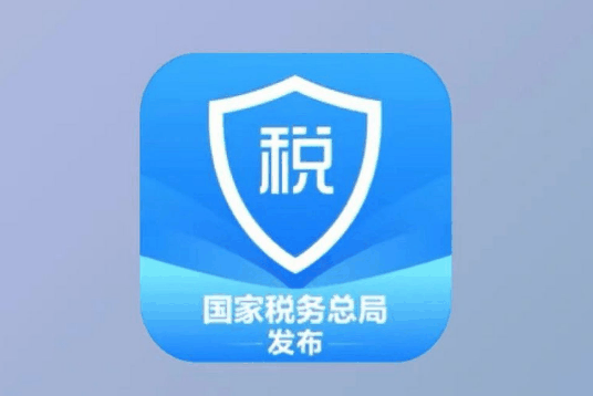 个人所得税app如何打印个人所得税清单