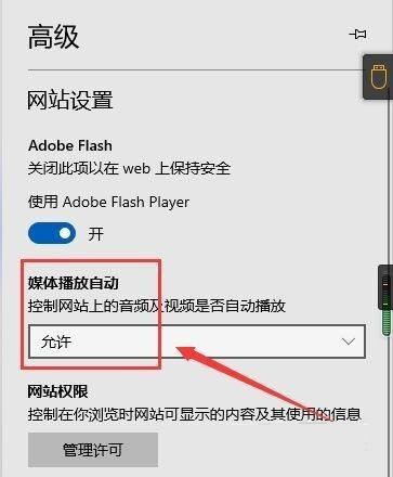 Microsoft Edge浏览器怎么查看媒体播放 Microsoft Edge浏览器查看媒体播放的方法