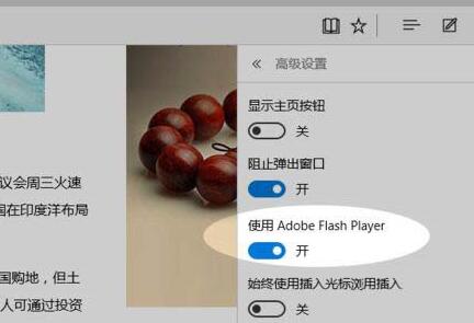 WIN10系统edge浏览器禁止flansh加载的方法