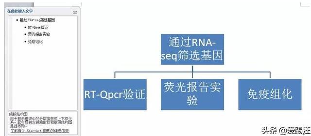 word制作技术路线图的操作步骤