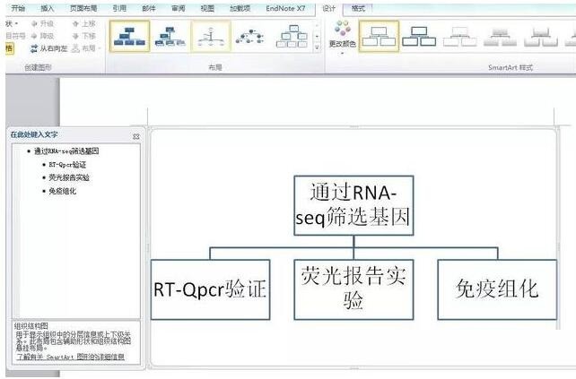 word制作技术路线图的操作步骤