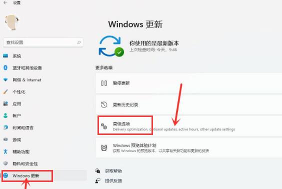 Windows11怎么开启传递优化功能 Windows11开启传递优化功能方法