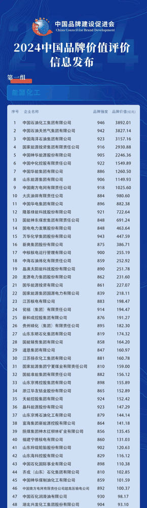 2024中国品牌价值榜发布：比亚迪领跑汽车及配件领域