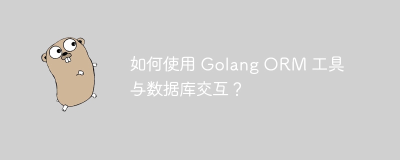 如何使用 Golang ORM 工具与数据库交互？