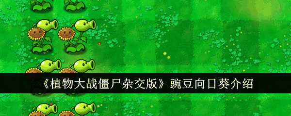 《植物大战僵尸杂交版》豌豆向日葵介绍