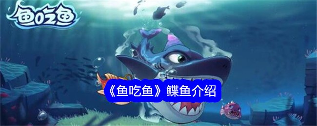 《鱼吃鱼》鲽鱼介绍