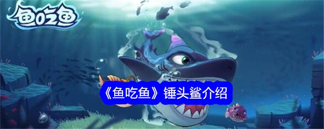 《鱼吃鱼》锤头鲨介绍