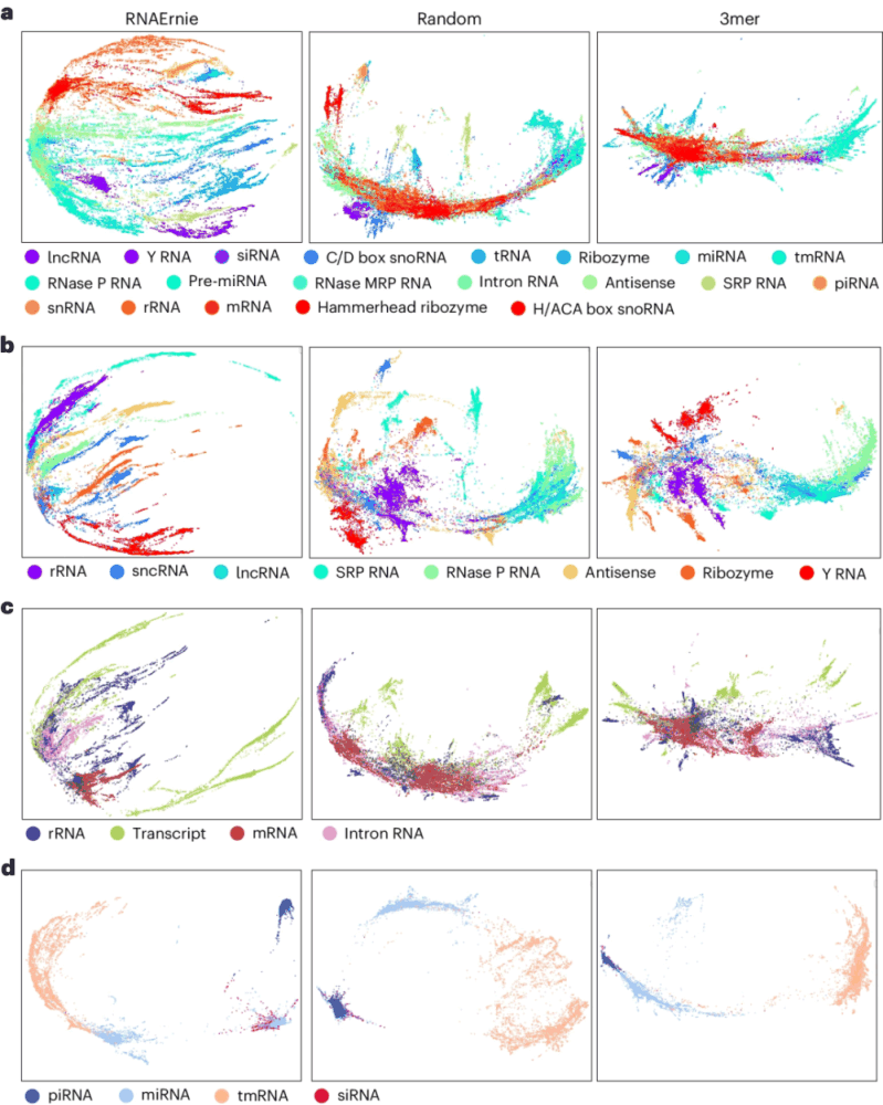 多功能RNA分析，百度团队基于Transformer的RNA语言模型登Nature子刊