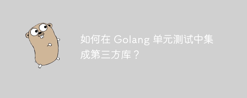 如何在 Golang 单元测试中集成第三方库？