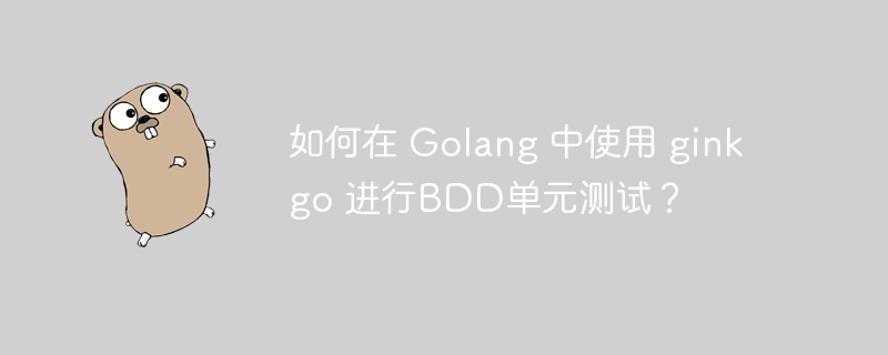 如何在 Golang 中使用 ginkgo 进行BDD单元测试？