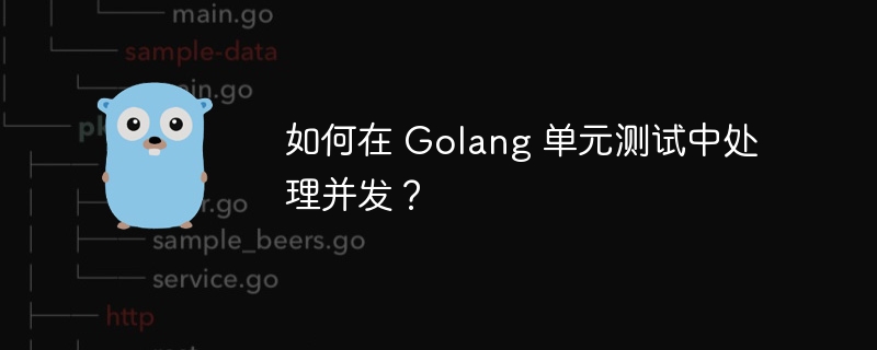 如何在 Golang 单元测试中处理并发？