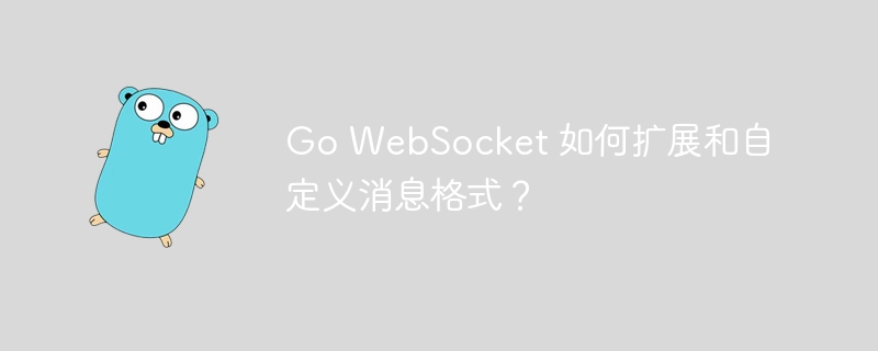 Go WebSocket 如何扩展和自定义消息格式？