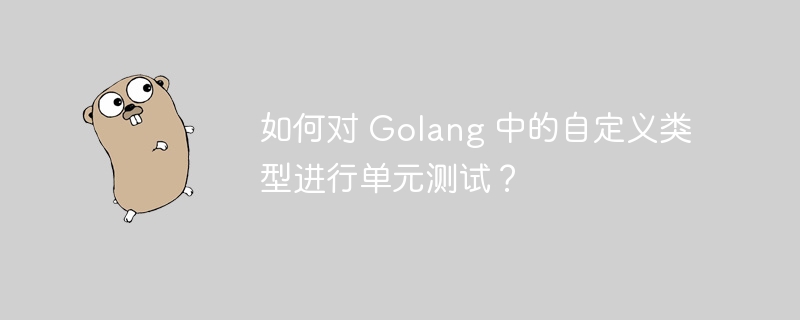 如何对 Golang 中的自定义类型进行单元测试？