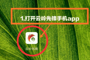 云岭先锋app怎么积分