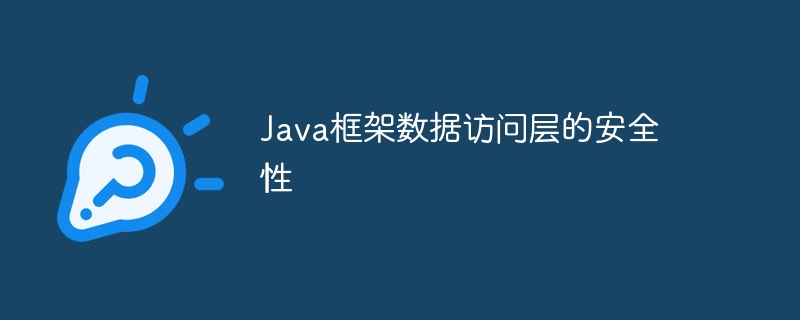 Java框架数据访问层的安全性