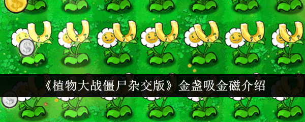 《植物大战僵尸杂交版》金盏吸金磁介绍