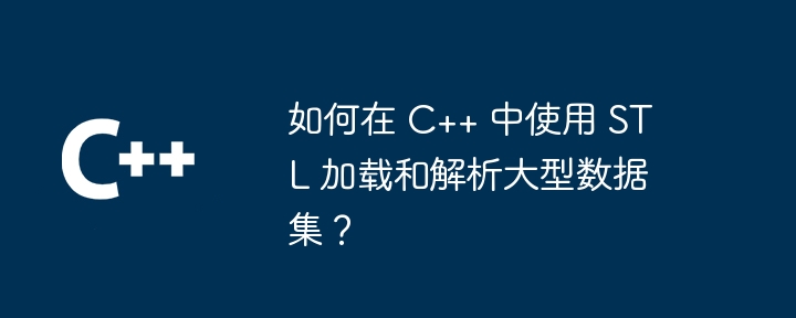 如何在 C++ 中使用 STL 加载和解析大型数据集？