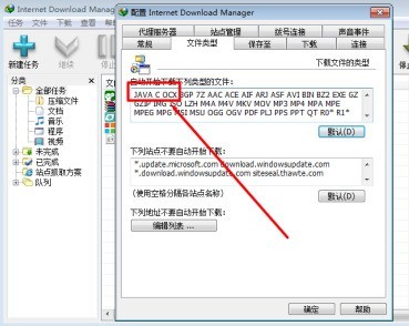 IDM下载器怎么支持自动下载文件类型_IDM下载器支持自动下载文件类型的方法