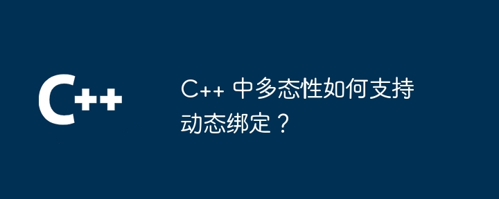 C++ 中多态性如何支持动态绑定？