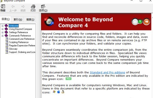 Beyond Compare怎么打开帮助文档 Beyond Compare打开帮助文档的方法